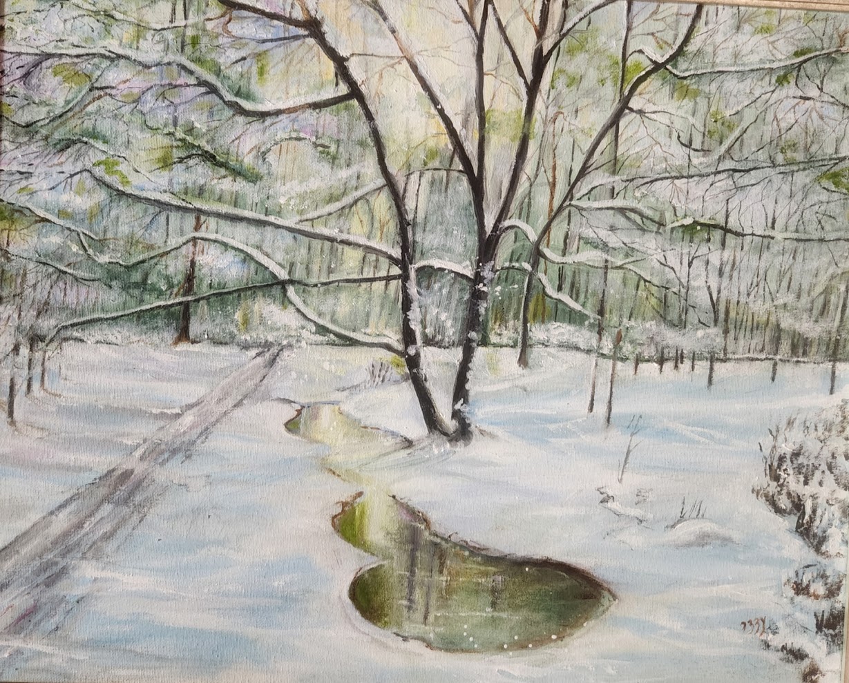 Winter on Yellow Creek